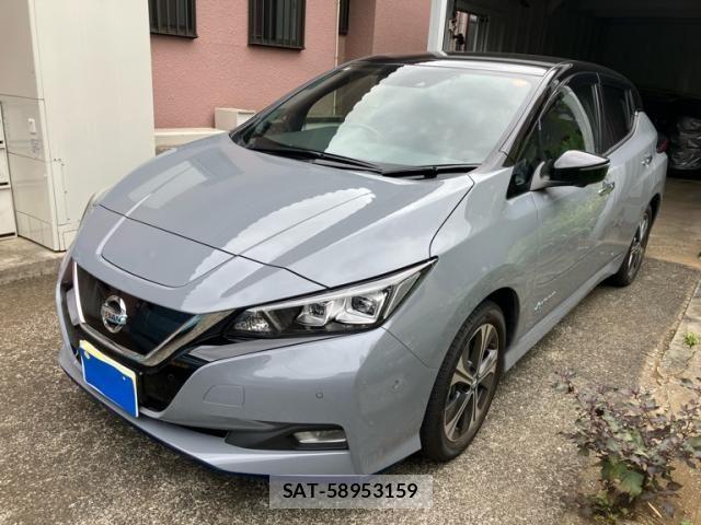 Nissan LEAF 2020-02 8743256-0