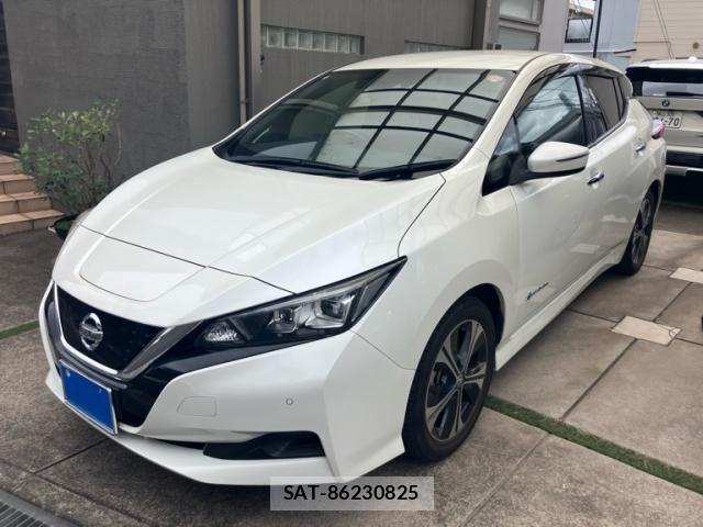 Nissan LEAF 2018-06 8743264-0