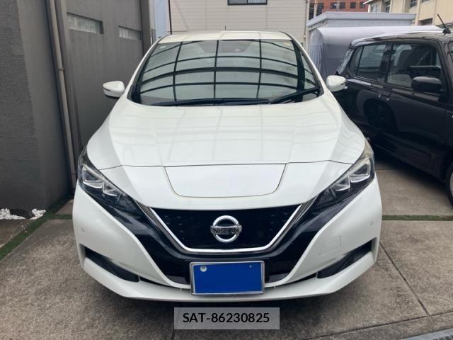 Nissan LEAF 2018-06 8743264-1