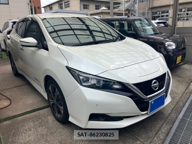 Nissan LEAF 2018-06 8743264-2