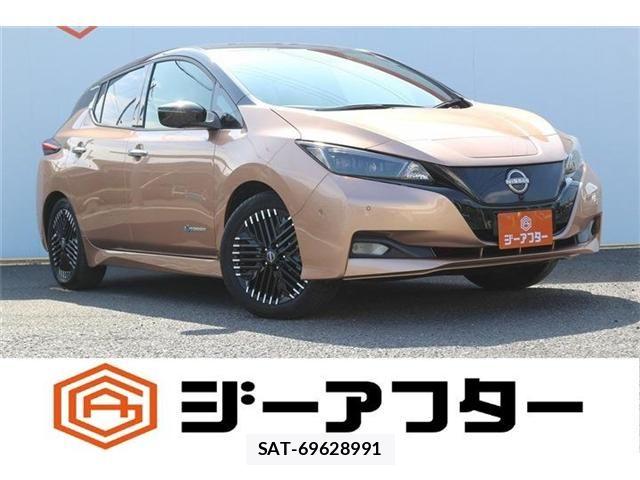 Nissan LEAF 2022-11 8743258-0