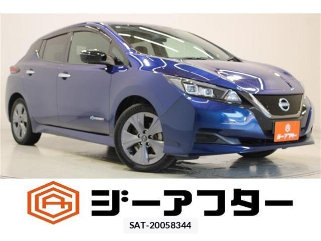 Nissan LEAF 2021-12 8743257-0