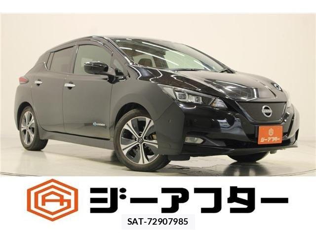 Nissan LEAF 2021-11 8743259-0
