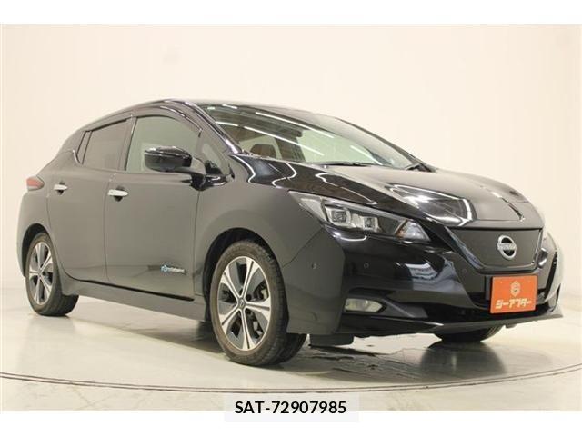 Nissan LEAF 2021-11 8743259-6