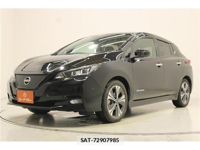 Nissan LEAF 2021-11 8743259-8