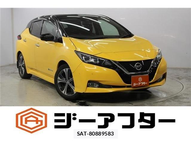 Nissan LEAF 2018-07 8780806-0