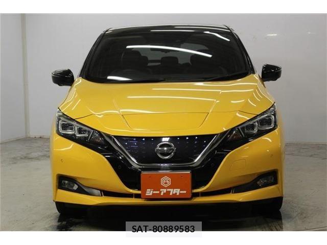 Nissan LEAF 2018-07 8780806-1