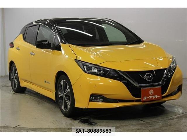 Nissan LEAF 2018-07 8780806-2