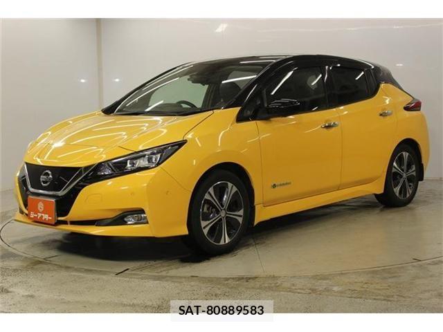 Nissan LEAF 2018-07 8780806-8