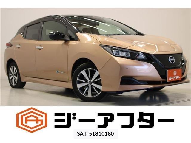 Nissan LEAF 2021-10 8780788-0