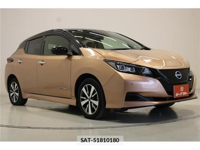 Nissan LEAF 2021-10 8780788-6
