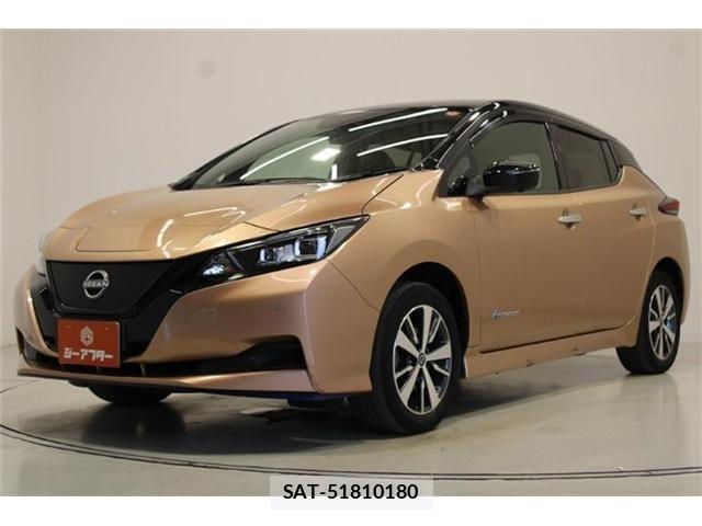 Nissan LEAF 2021-10 8780788-8