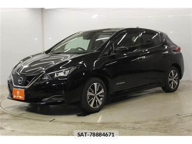 Nissan LEAF 2020-11 8780791-8