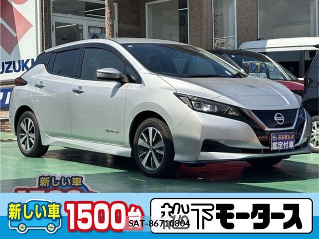 Nissan LEAF 2019-07 8796408-0