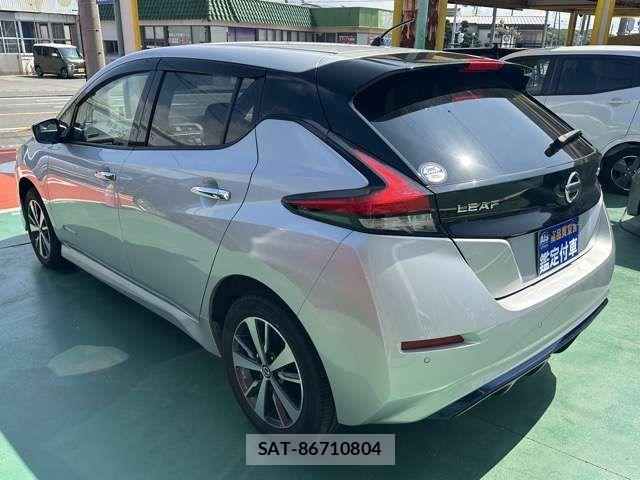Nissan LEAF 2019-07 8796408-3