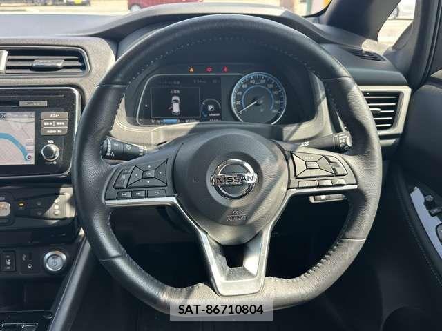 Nissan LEAF 2019-07 8796408-7