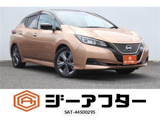 Nissan LEAF 2022-01 8796410-0