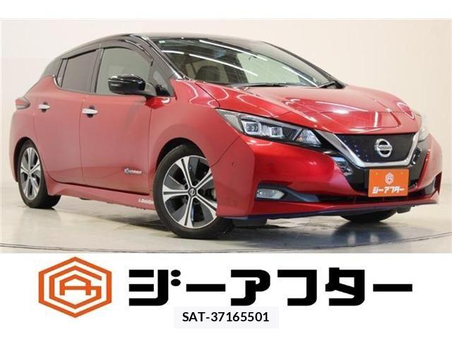 Nissan LEAF 2020-03 8796409-0