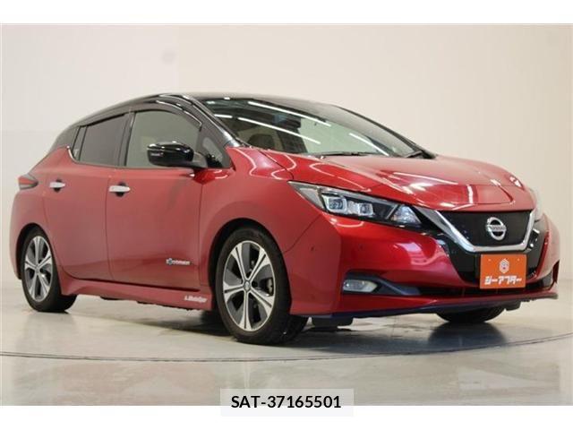 Nissan LEAF 2020-03 8796409-5