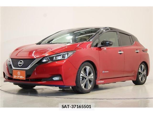 Nissan LEAF 2020-03 8796409-7