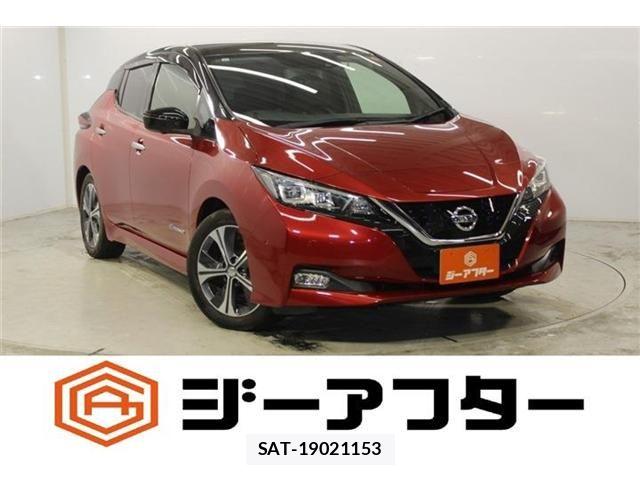 Nissan LEAF 2017-12 8796413-0