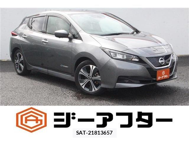 Nissan LEAF 2021-06 8829855-0