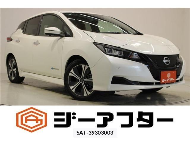 Nissan LEAF 2022-01 8829854-0