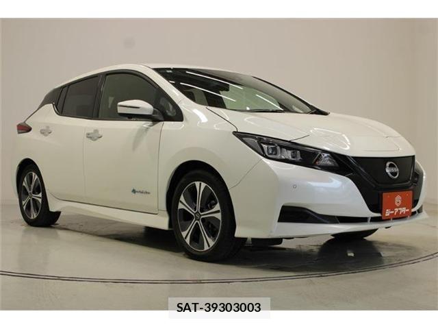 Nissan LEAF 2022-01 8829854-5