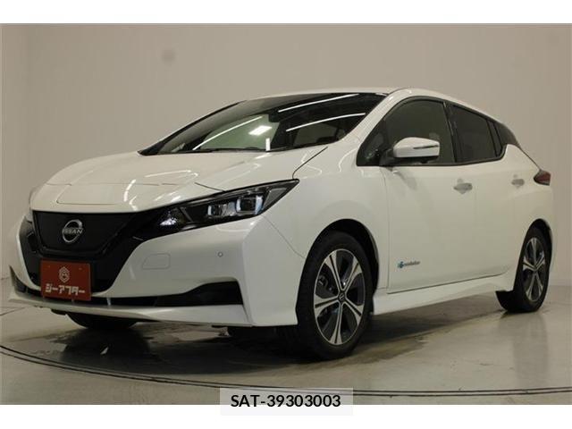 Nissan LEAF 2022-01 8829854-7