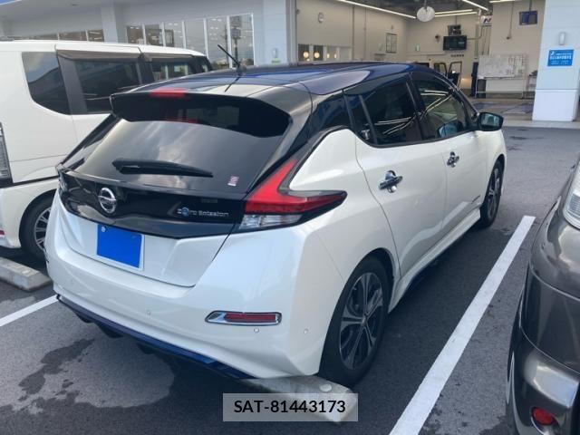 Nissan LEAF 2017-10 8829856-4