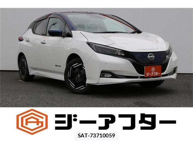 Nissan LEAF 2022-12 8829853-0