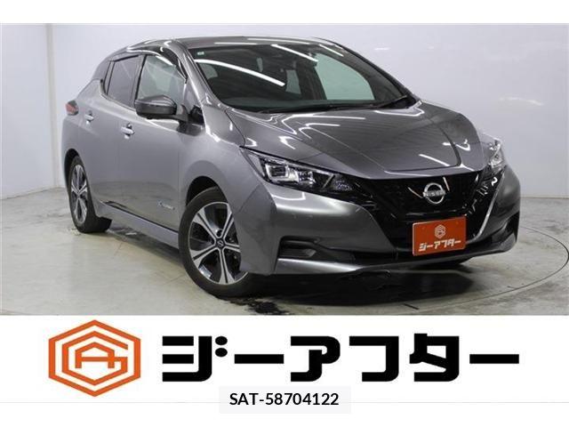 Nissan LEAF 2022-03 8871313-0