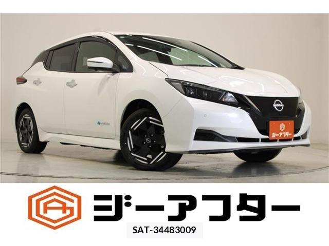 Nissan LEAF 2025-03 8871307-0