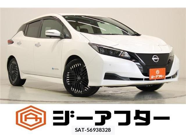 Nissan LEAF 2022-06 8871311-0