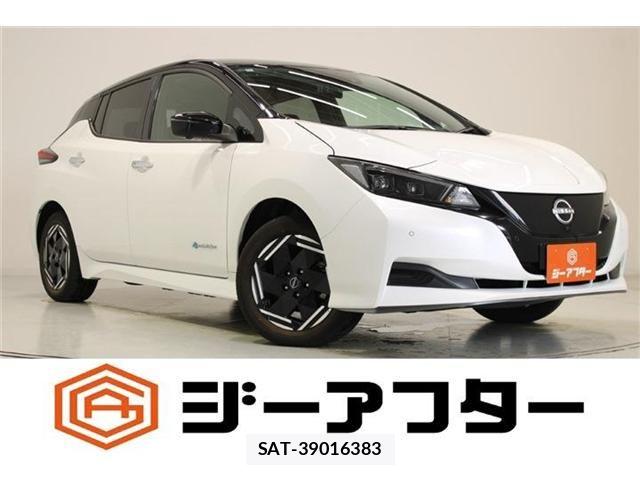 Nissan LEAF 2024-12 8871305-0