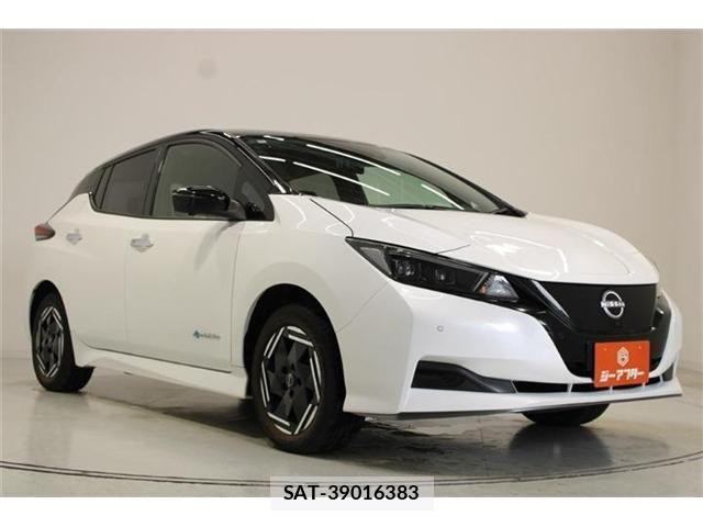Nissan LEAF 2024-12 8871305-6