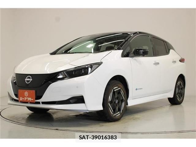 Nissan LEAF 2024-12 8871305-8