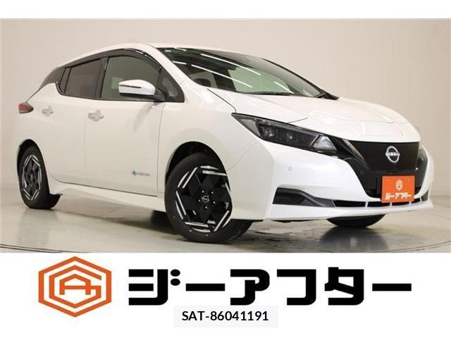 Nissan LEAF 2025-03 8871309-0