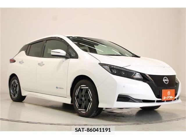 Nissan LEAF 2025-03 8871309-5
