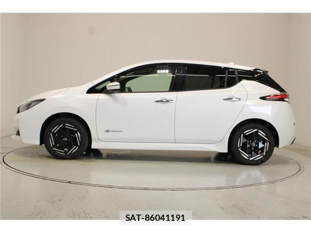 Nissan LEAF 2025-03 8871309-8