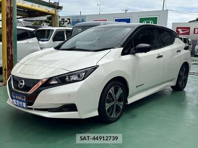 Nissan LEAF 2021-04 8880412-2
