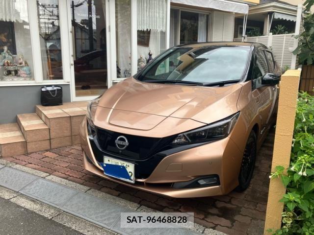 Nissan LEAF 2023-03 8880411-1