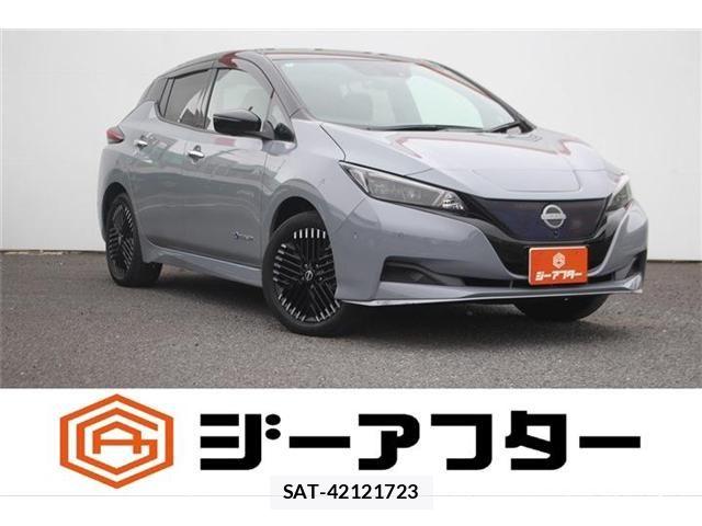 Nissan LEAF 2022-09 8880408-0