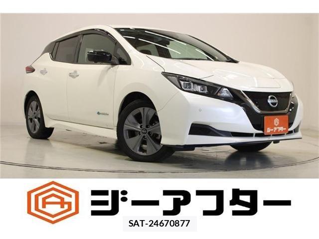 Nissan LEAF 2022-03 8883823-0