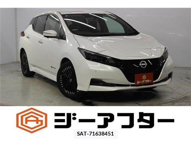Nissan LEAF 2022-06 8883824-0