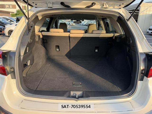 Subaru OUTBACK 2019-05 7455301-18