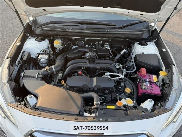 Subaru OUTBACK 2019-05 7455301-19
