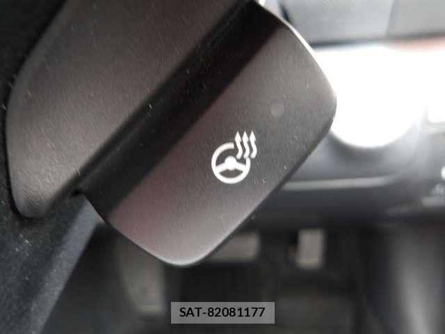Subaru OUTBACK 2017-03 7617537-10