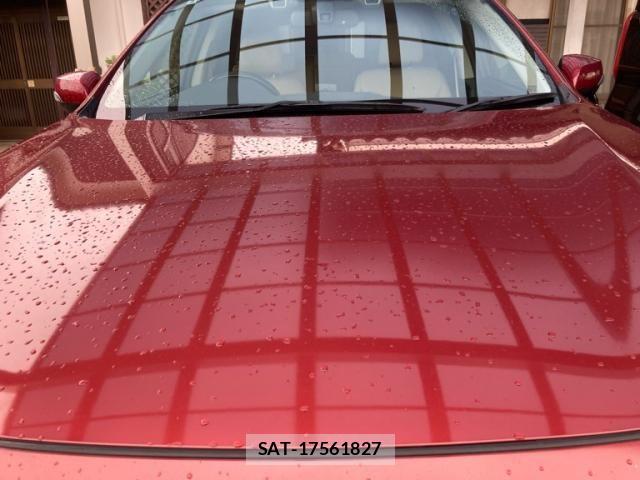 Subaru OUTBACK 2016-02 8743293-11