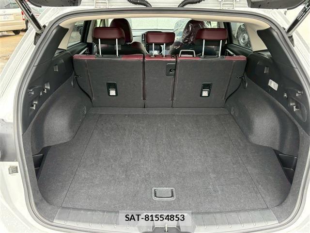 Subaru LEVORG 2024-06 1313647-4